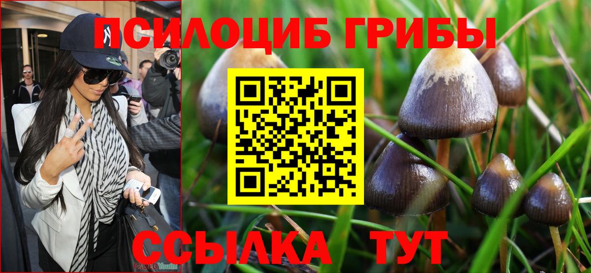 Псилоцибиновые грибы мухоморы  Вход с VPN  Дербент 